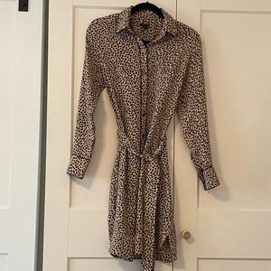 Ann Taylor Shirt Dress